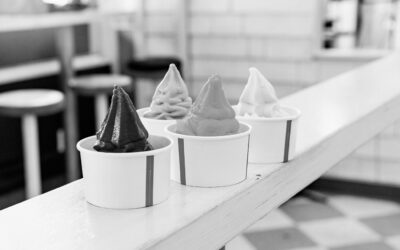 Education Meets Workforce Development: Yogurtini Case Study